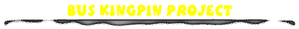 Bus Kingpin Project